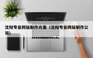 滁州沈阳专业网站制作方案（沈阳专业网站制作公司）
